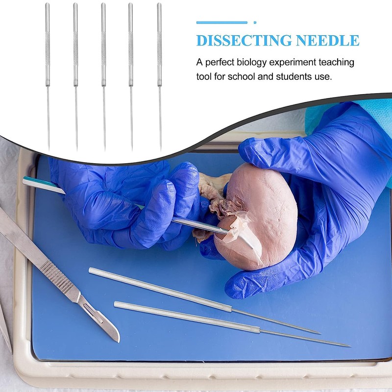Fyearfly 5pcs Dissection Needles, Stainless Steel Dissecting Needle with Straight
