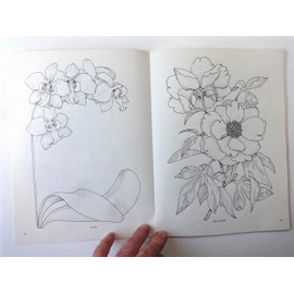 Treasury of Flower Designs for Artists, Embroiderers and Craftsmen