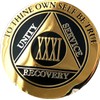 31 Year AA Medallion Elegant Black Gold and Silver Sobriety