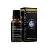 Mystic Moments | Rose Bulgarian Absolute Oil 5ml (Rosa Damascena)