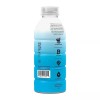 PRIME Hydration BERRY FREEZE Sports Drink 16.9 oz (Pack of