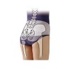 Cervin Women's Pelvis 3 Lavender LL-3L