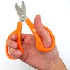 [Yoshida Cutlery] Basin Wood, Gardening Scissors, Made in Japan, Stainless