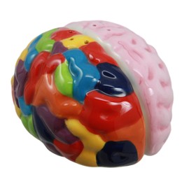 Ebros Gift Colorful Right And Left Brains Magnetic Ceramic Salt And Pepper Shakers Figurine Collectible Set Academic Neuro Lobotomy Themed Brain Anatomy Accent