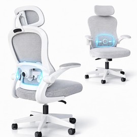 HOSU Silla de Escritorio, Silla de Oficina Ergonómica con Cabecera y Soporte Lumbar Ajustable Cojín de Asiento Grueso Silla Gamer Ejecutiva...        