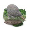 WitnyStore Tiny Kiwi Flightless Bird New Zealand Australia Oceania Tourist