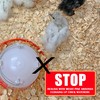Brooder Pads for Chicks (25 Pack)
