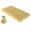 Gloryit Pack of 50 Rock Wool Cultivation, Rockwool Cubes, Rock