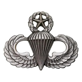US ARMY Airborne MASTER Parachutist Paratrooper Jump Wings Pin Oxidized Badge