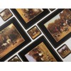 Pimpernel Tally Ho Collection Placemats | Set of 4 |