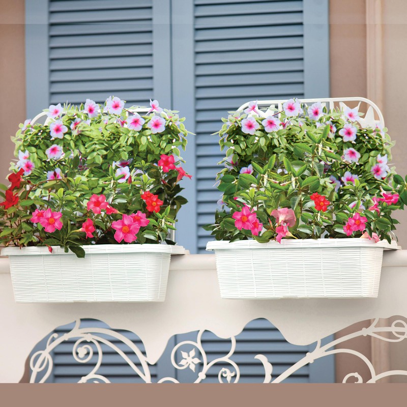 24" Privacy Planters (S/2) - White