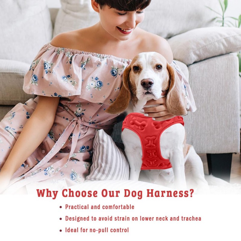 Comfort Fit No Pull Step-in Dog Harness – XS Harness