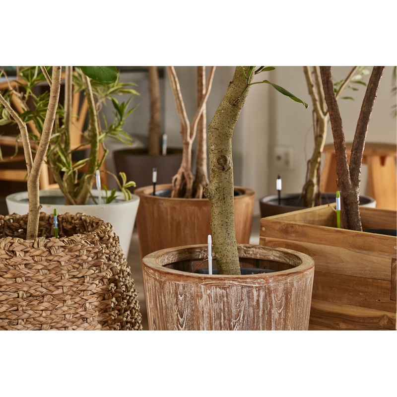 Cabinoche SUSTEE Watering Checker Susty Set of 5 L Black