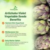Outsidepride Artichoke Violet Vegetable Seeds - 200 Pcs Perennial, Hardy