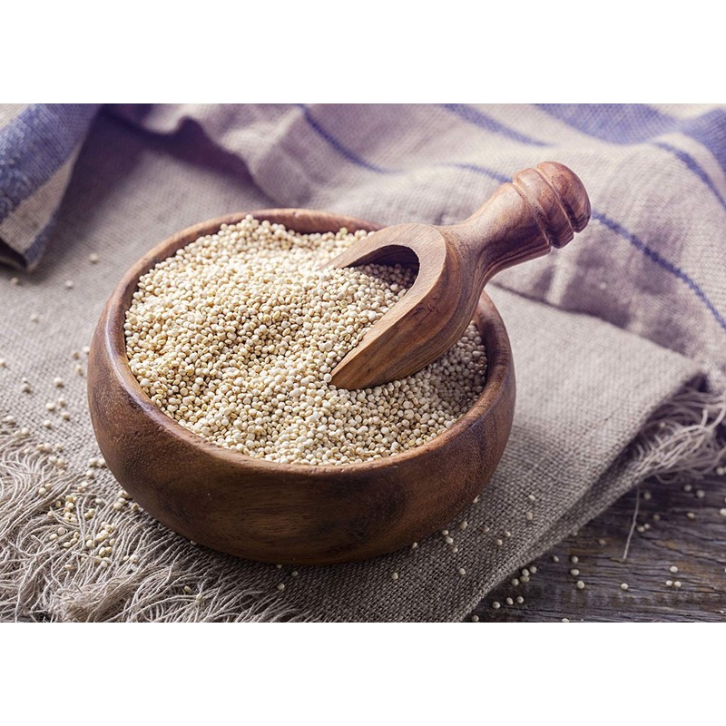 Food to Live - Organic White Quinoa, 10 Pounds Whole
