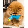 Turkey Cat Watamote Whitening Toy 01 Minnow