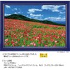 108 Piece Jigsaw Puzzle Poppy in the Sky Chichibu Kogen