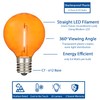 Novelty Lights G40 Filament LED String Light, Translucent Orange/Green/White Bulbs,