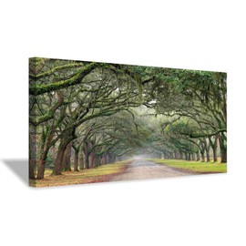 Oak Tree Canvas Wall Art: Green Landscape Artwork Forest Picture Painting for Living Room (40'' x 20'' x 1 Panel)