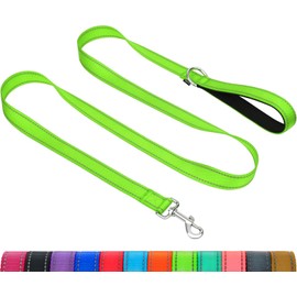 Taglory Reflective Dog Lead with Soft Padded Handle and Metal Hook, Robust Dog Lead for Small Medium Large Dogs, 1.2 m, 1.8 m