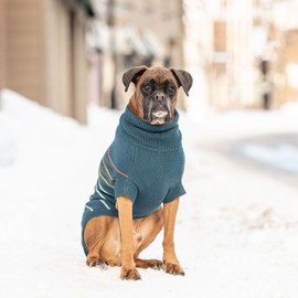 GF PET Arctic Sweater | Stylish Turtleneck Sweater for Dogs | Cozy Acrylic Multi-Knit in Sleek Design | Ribbed Arm Holes & Unisex Fit | Comfortable Winter Pet Clothes - Teal - 3X Small