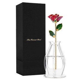 Forever Rose Bloom Box and Phantom Vase Bundle, Real Gold Trimmed Bloomed Red Rose, One of A Kind & Everlasting 24K Gold Dipped Rose, Unique Anniversary & Valentine's Day Gifts for Women