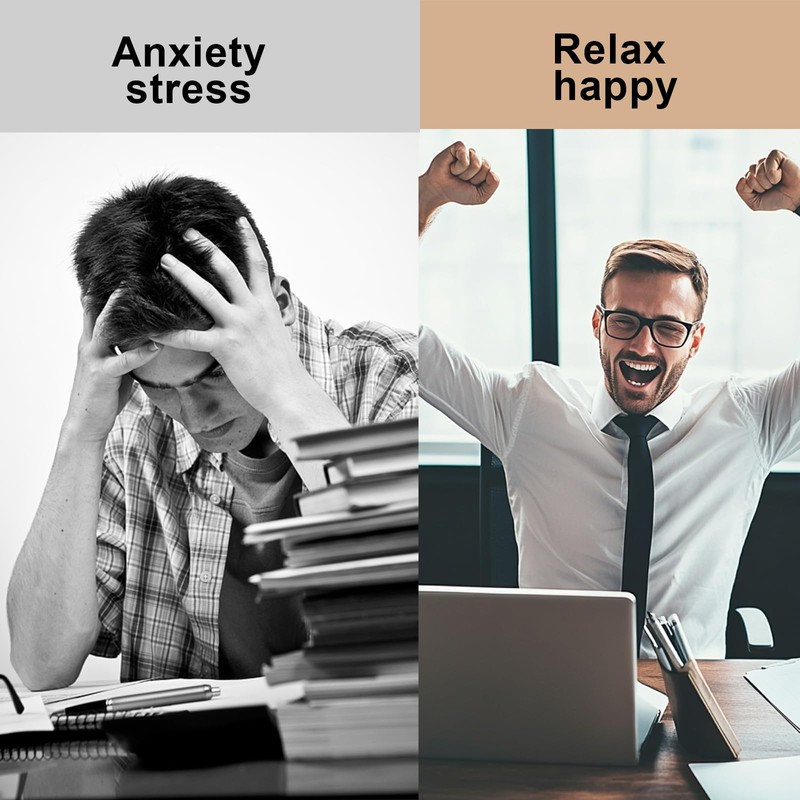 Landrain Pack of 2 Koala Squishy, Soft Squishies, Squishy Toy