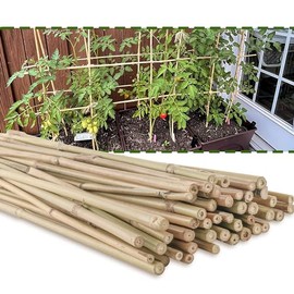 HTWNK 50PC 4 FT NaturalBamboo Sticks Gardening Plant Support Stakes for Indoor Plants, Tomato, Potted Plants…
