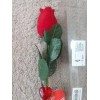 Unbranded Red Audio Recording Rose