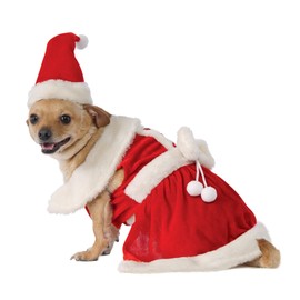 Rubie's Mrs. Claus Dog Costume