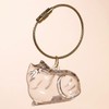 Anpyxun 6 Pcs Cat Hair Keychain Keepsake - Clear Acrylic