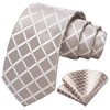 HISDERN Ties for Men Plaid Tie and Pocket Square Set