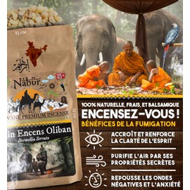 Nabür - Indian Incense 100 gr Boswellia Serrata - Grade A High Content of H. Essential Cognitive Wellbeing, Iron Health, Serenity