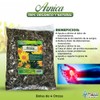 Natural de Mexico USA Arnica Hierba Tea 4 oz. 113gr.