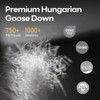 Luxury Premium Goose Down Pillows Standard Size, Fluffy Bed Pillows
