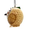 Songbird Essentials SE3880065 Owl Gord-O Birdhouse (Set of 1)