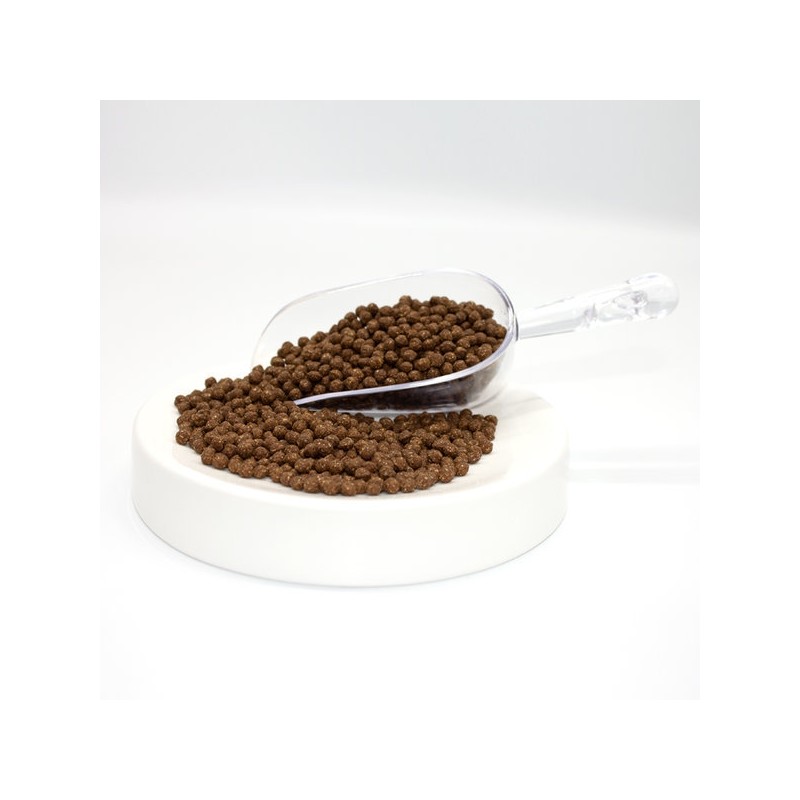 Psyllium husk pill 500g / 차전자피환 질경이환 500g