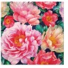 Decoupage Paper Napkins Luncheons Peonies Floral Flower Spring Packs 20
