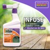 Bonide Infuse Systemic Disease Control, 32 oz Ready-to-Spray Solution for