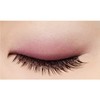 excel Skinny Rich Eye Shadow SR10 (Peony Brown) Palette Eyeshadow