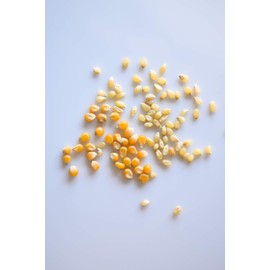 Amish Country Popcorn | 2-2 lb Bags | 2 lb Medium White and 2 lb Extra Large Caramel Type Popcorn Kernels Bundle | Old Fashioned, Non-GMO and Gluten Free