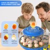 Egg Incubator with Automatic Turning & Humidity Control, Digital Egg