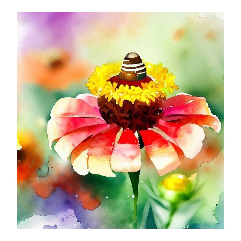 Zinnia elegans 'Sombrero' (Zinnia, Bi-Colored - Sombrero) Flower Seeds, Easy