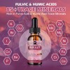 2x Organic Himalayan Shilajit Natural Pure Extremely Potent, Fulvic Acid