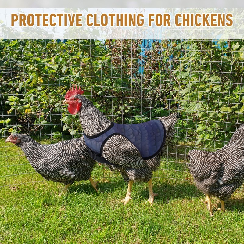 JOUTYFOR 6 Pack Chicken Saddles for hens, Chicken Apron Back