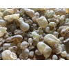Royal Frankincense Organic Hojari Frankincense Oman (Bos. Sacra) (1/2 lb)