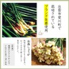 Tea Sandyoichi Japanese Dezai Ginger Hot Water, 0.5 oz (15