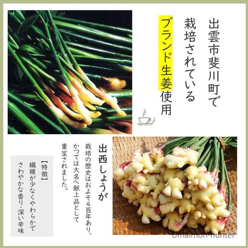 Tea Sandyoichi Japanese Dezai Ginger Hot Water, 0.5 oz (15