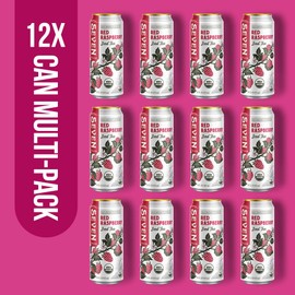 SevenTeas Red Raspberry Iced Tea, 16 OZ (Pack of 12 Cans), Lightly Sweetened Organic Iced Tea