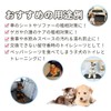 ULIGOTA Pet Sheets, Washable, For Cats, Dogs, Urine, Pets, Toilet